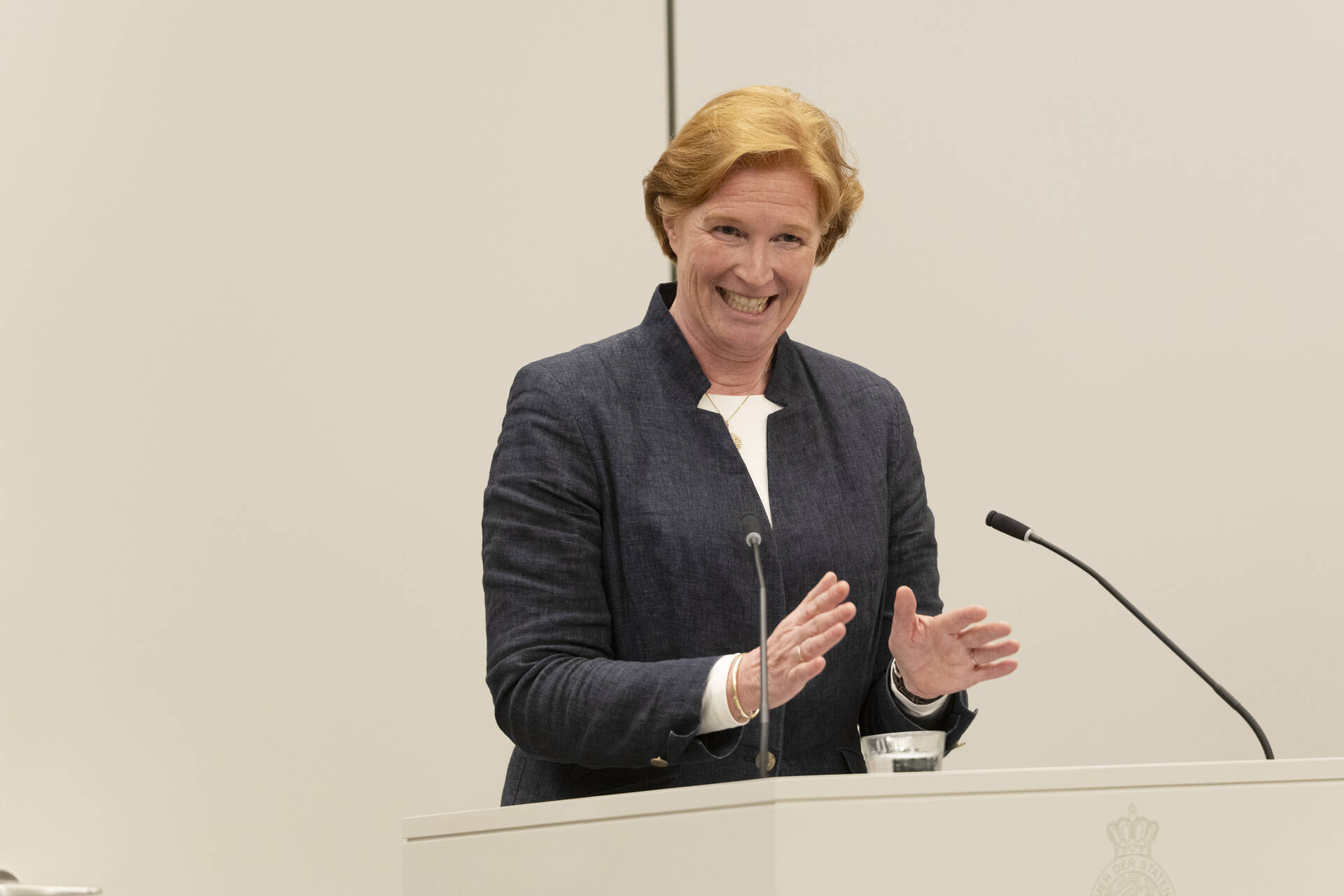 Senator Geerdink (VVD)