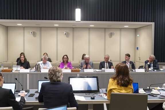 Senaat sprak met leden van de Staatscommissie Demografische Ontwikkelingen 2050